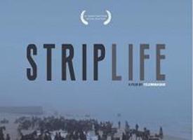 STRIPLIFE – GAZA IN A DAY