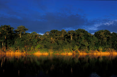 Amazzonia, biodiversità e disuguaglianze