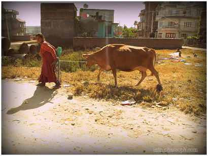 img_0595kathmandu[1]