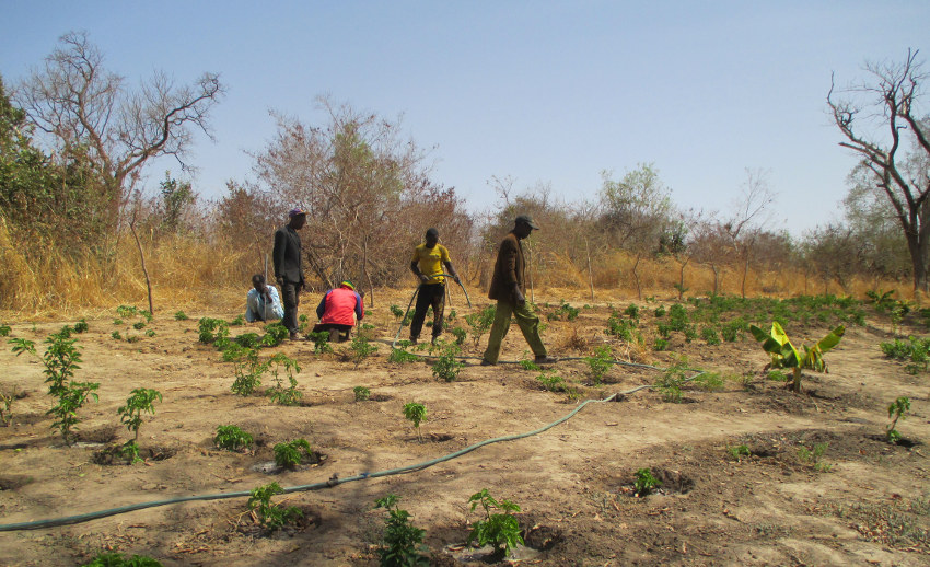 senegal2