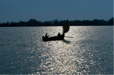 Navigando lungo i sapori del Danubio